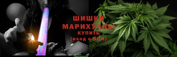 spice Краснослободск