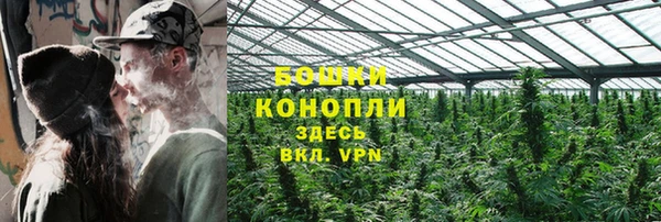 spice Краснослободск