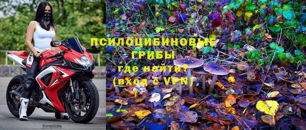 spice Краснослободск