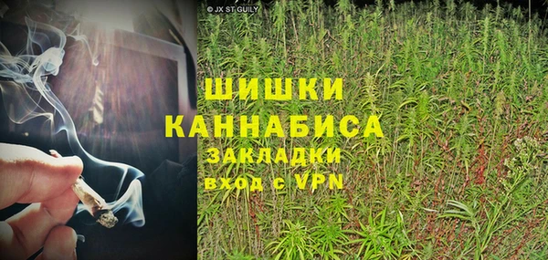 spice Краснослободск