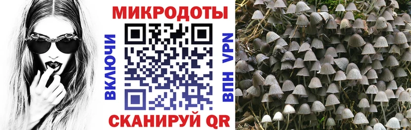Купить  Усолье-Сибирское  Галлюциногенные грибы прущие грибы 